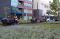 /album/menrit-en-barbecue-29-09-2014/a20120929-img-0120-jpg/